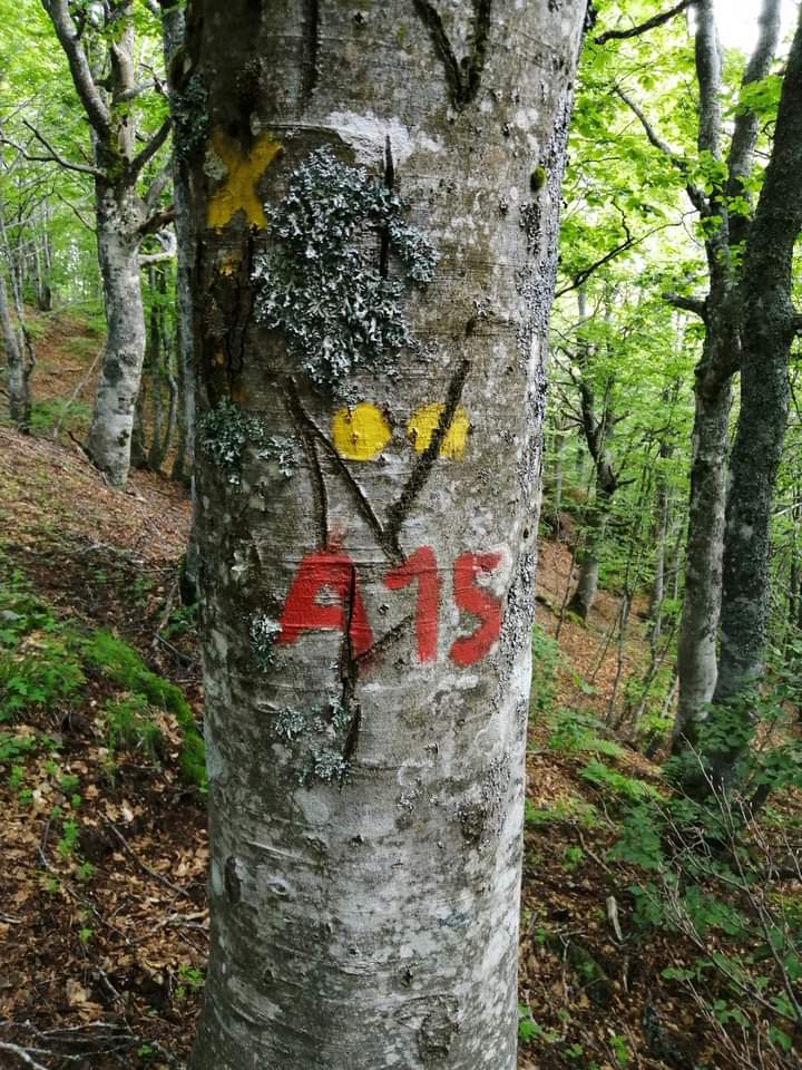 Attività sui sentieri 18 e 19 Giugno 2021