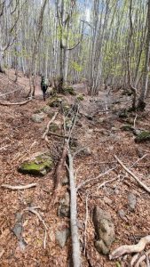 Sentiero Racc AVML 65 Magnasco Aiona 23 Maggio 2021