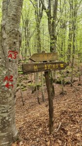 Sentiero Racc AVML 65 Magnasco Aiona 23 Maggio 2021 4