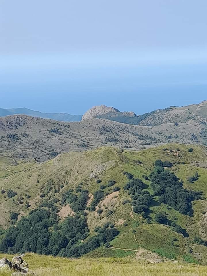 FB IMG 1655667521932