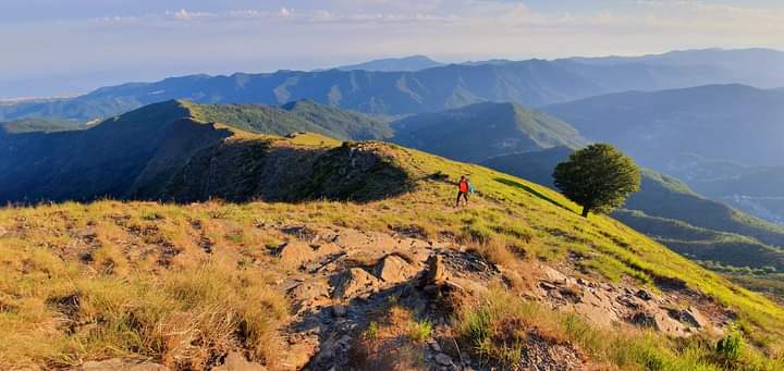 FB IMG 1655719131490