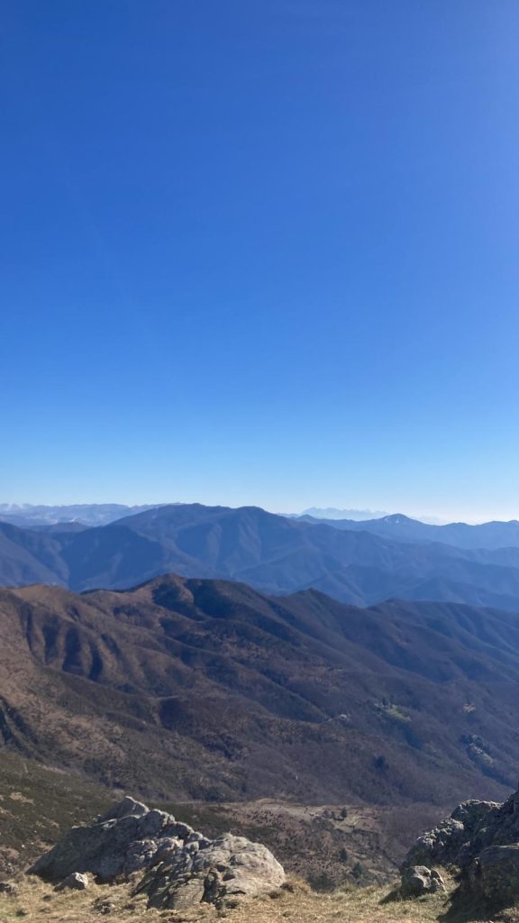 WhatsApp Image 2023 02 07 at 20.37.38