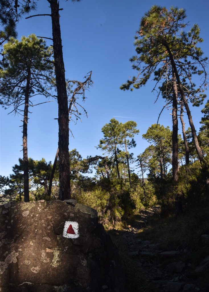 406545193 7151756281511774 3123120112764387559 n