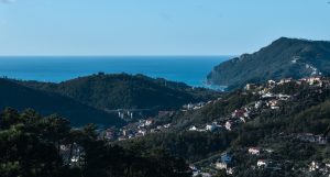 406588576 7151754394845296 6729071528554525113 n